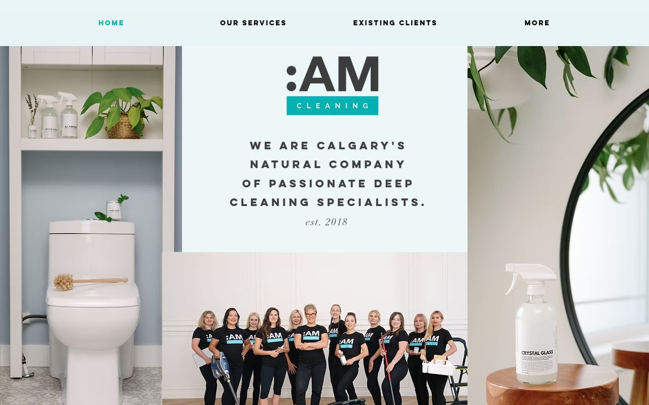 AM CLEANING