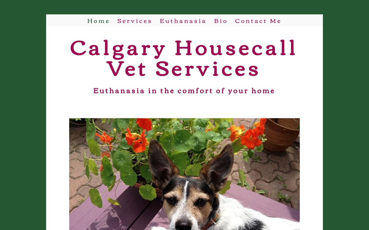 Calgary Housecall Vet