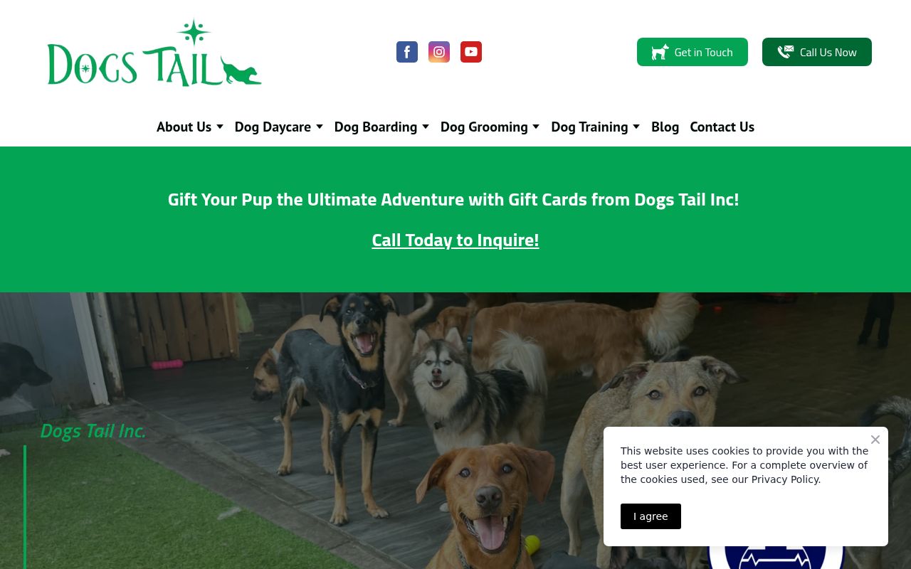 Dogs Tail