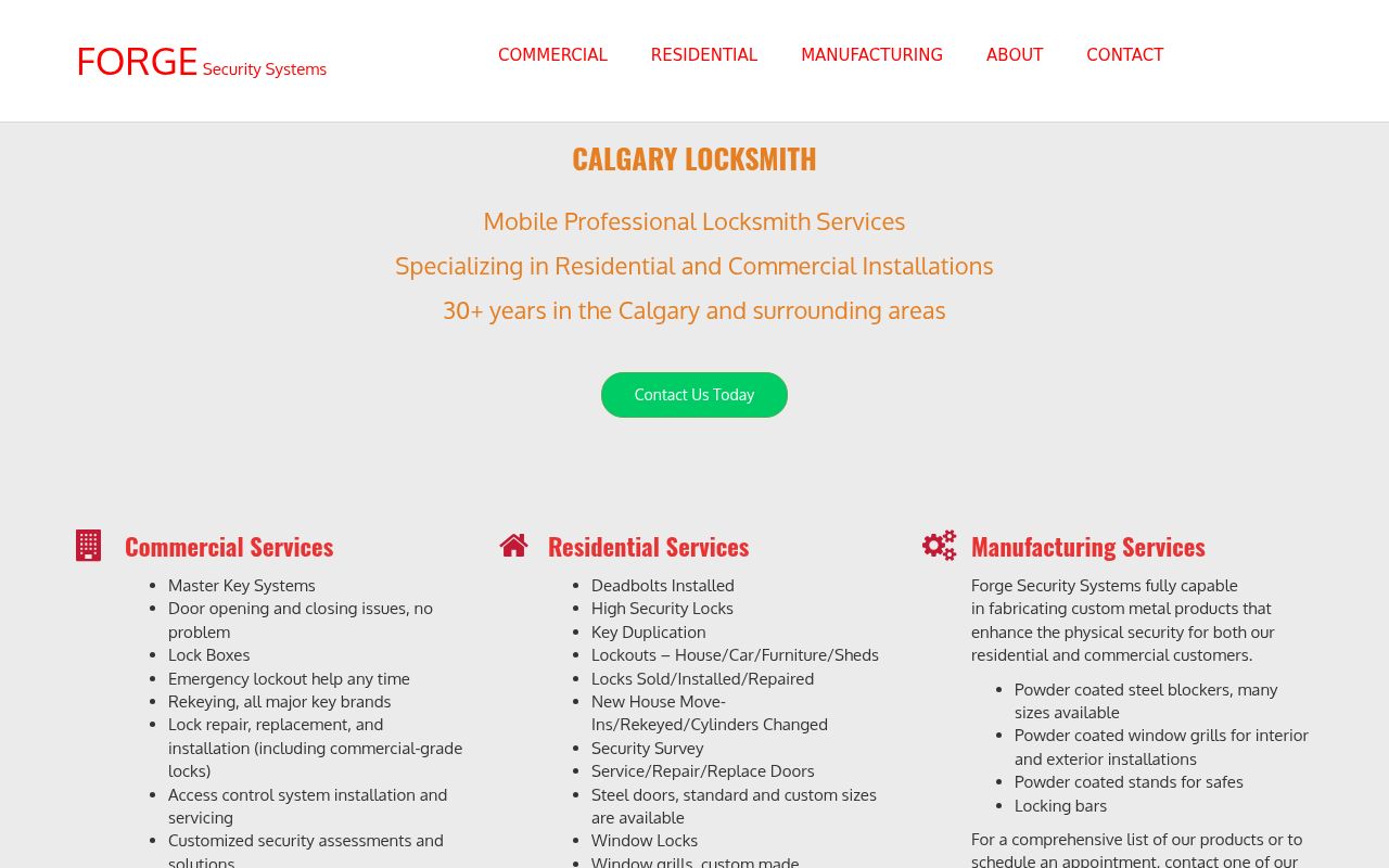 Forge Security Systems