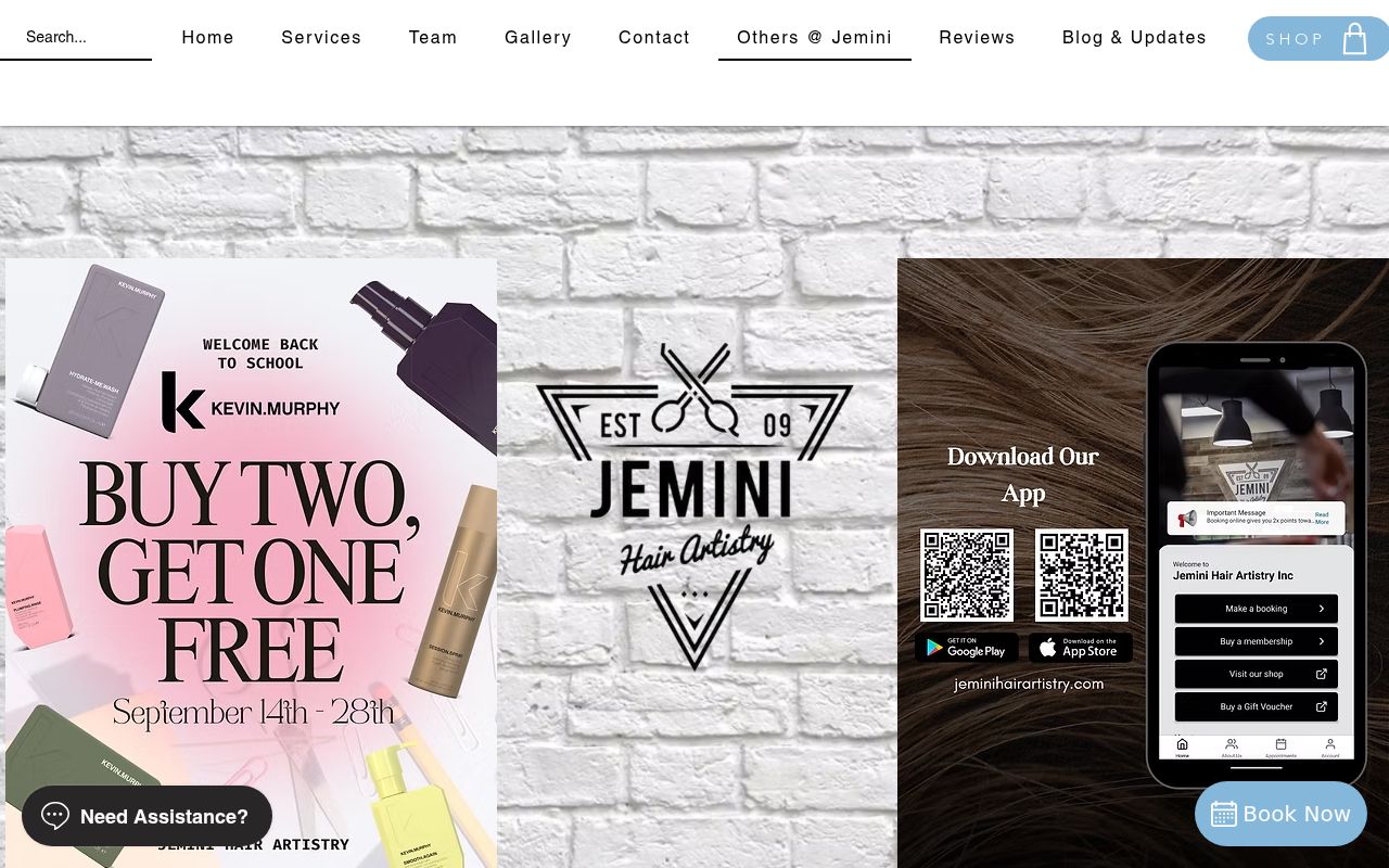 Jemini Hair Artistry