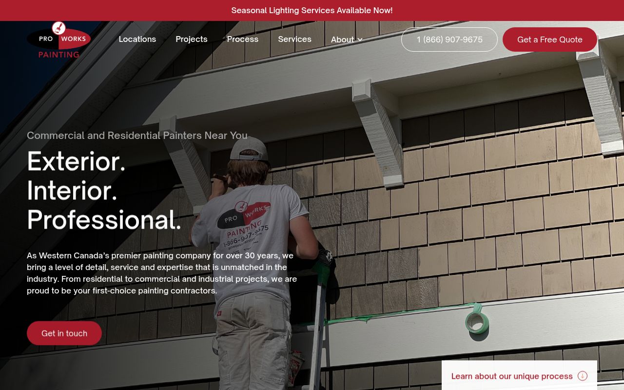 Pro Works Painting