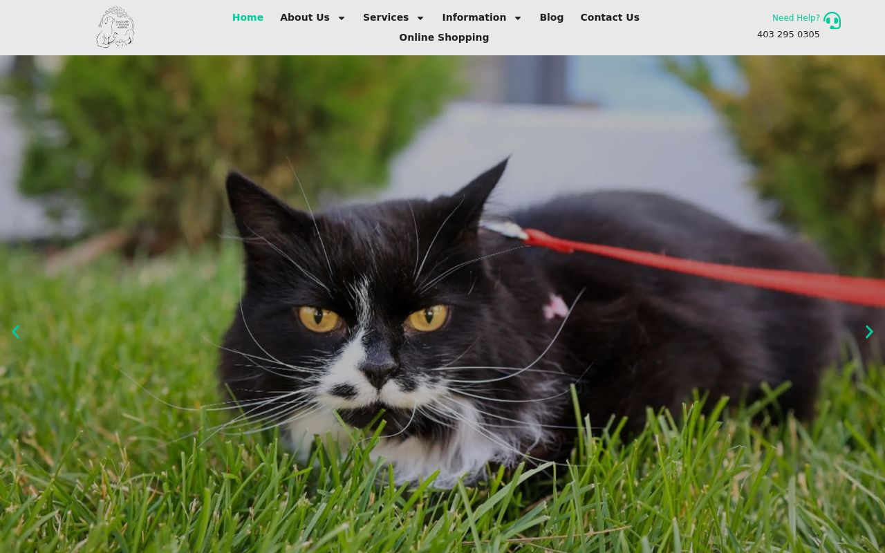 Sanctuary Veterinary