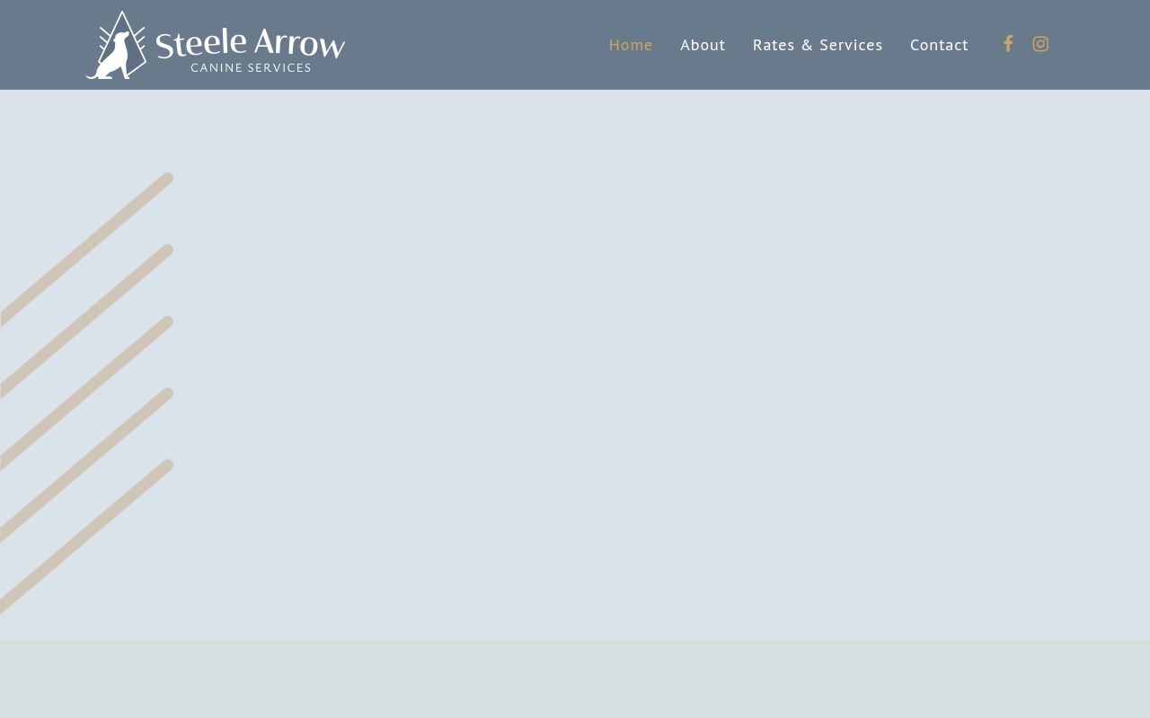 Steele Arrow Canine
