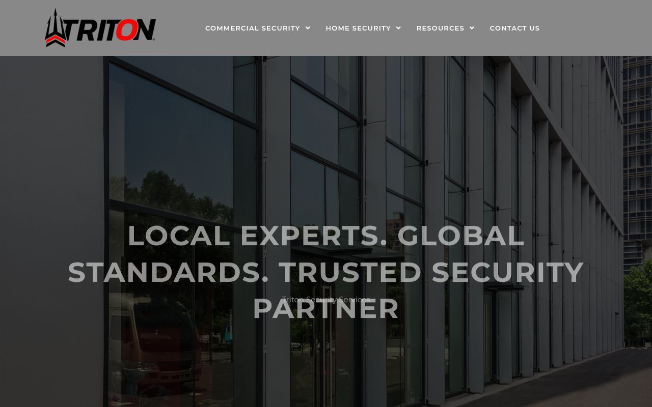 Triton Security Services