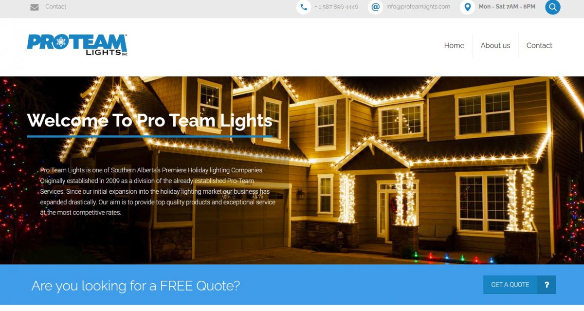 ProTeam Lights