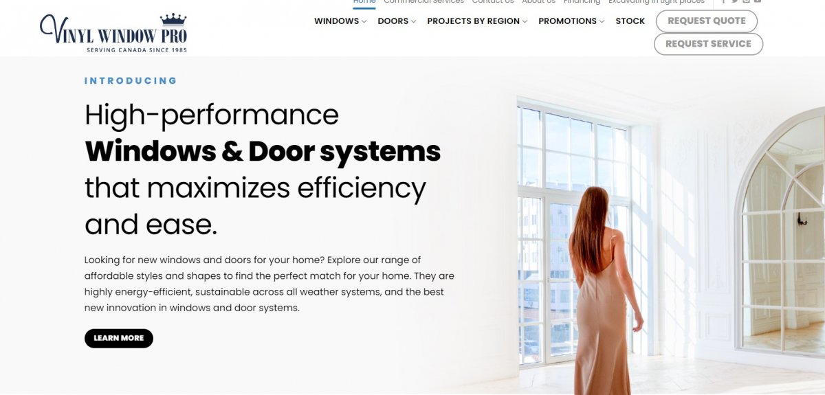 Vinyl Windows Pro