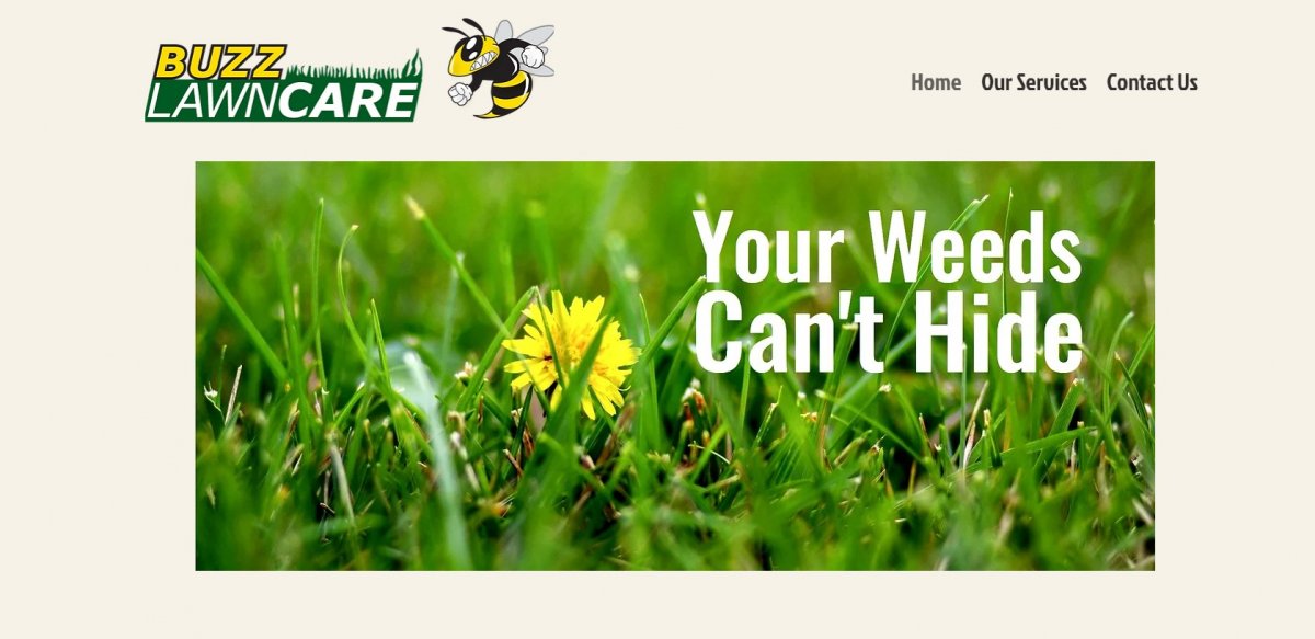 Buzz Lawn Care