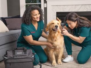 Best Mobile Vet in Calgary