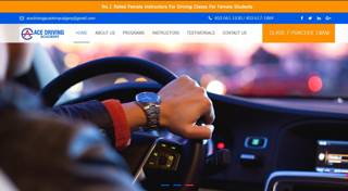 Ace Driving Academy